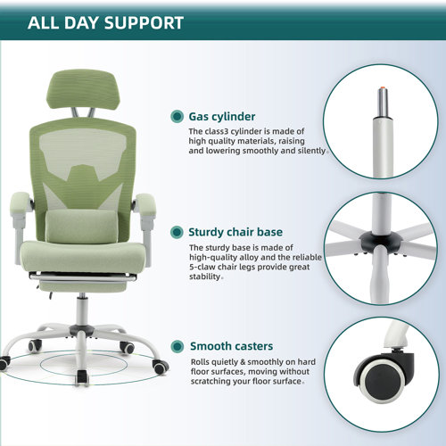 Inbox Zero Hrinder Ergonomic Mesh Task Chair with Footrest & Reviews